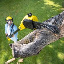 Lawn Watering Services in Village Of Oak Creek, AZ