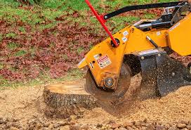 Best Commercial Tree Services  in Village Of Oak Creek, AZ
